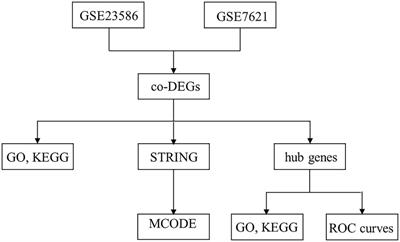 Bioinformatics analysis of gene expression profile and functional analysis in periodontitis and Parkinson’s disease